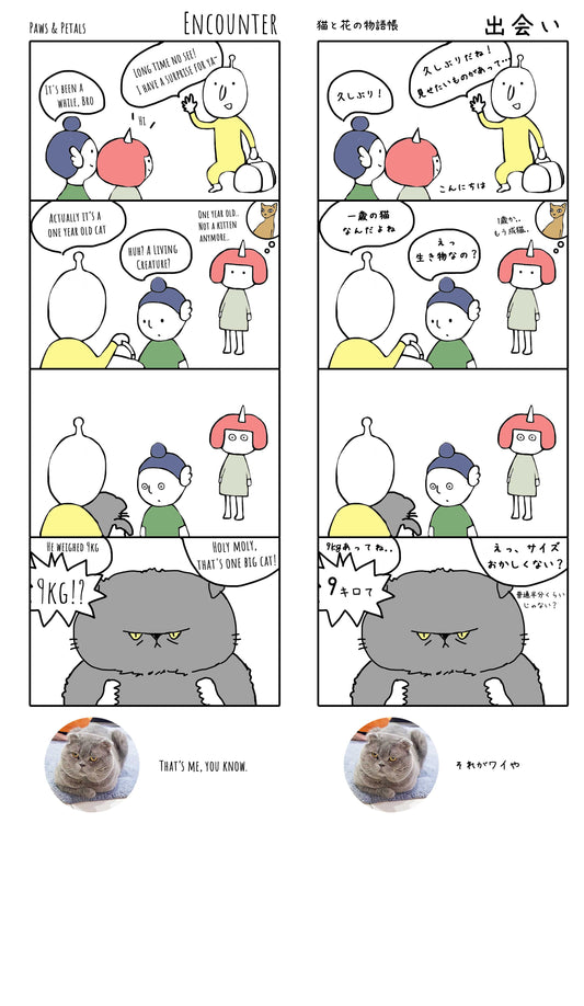 The Encounter