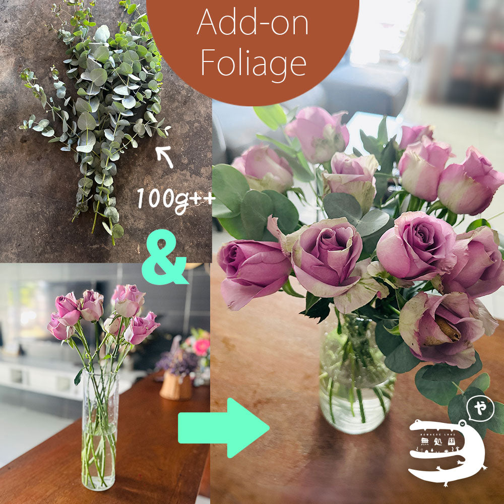 Fresh Rose : 10stems
