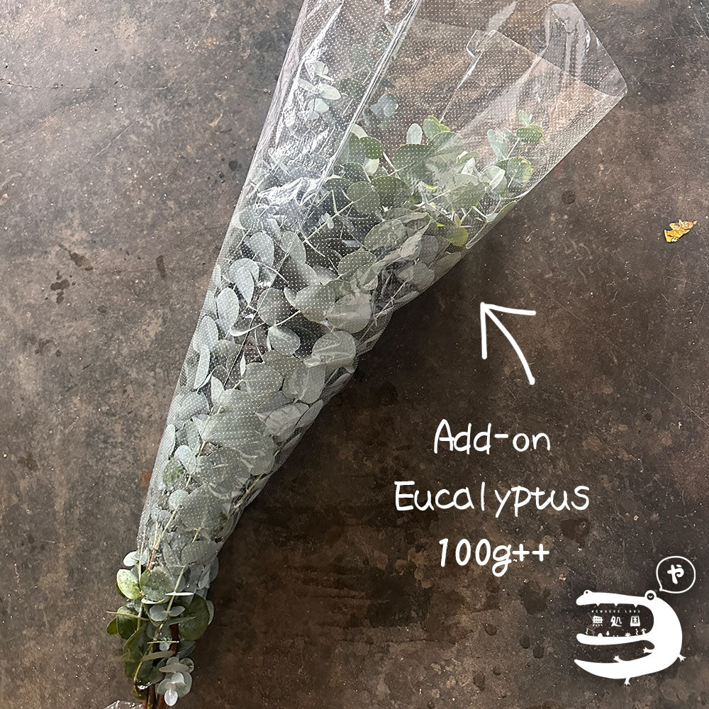 Carnation : 20 stems