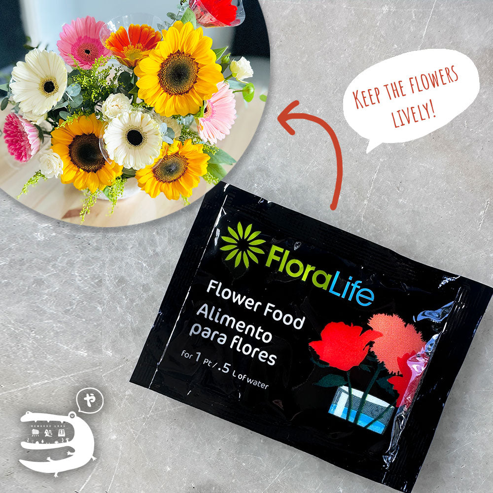 Flower Food : Floralife® Flower Food 300