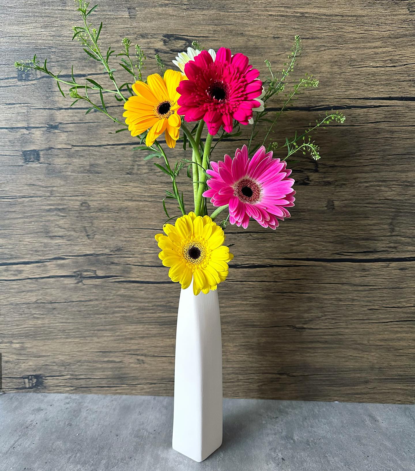 Mini Assorted Gerberas : 10/20/30stems