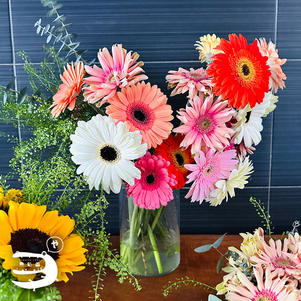 Assorted Gerberas[Top-Grade] : 10stems