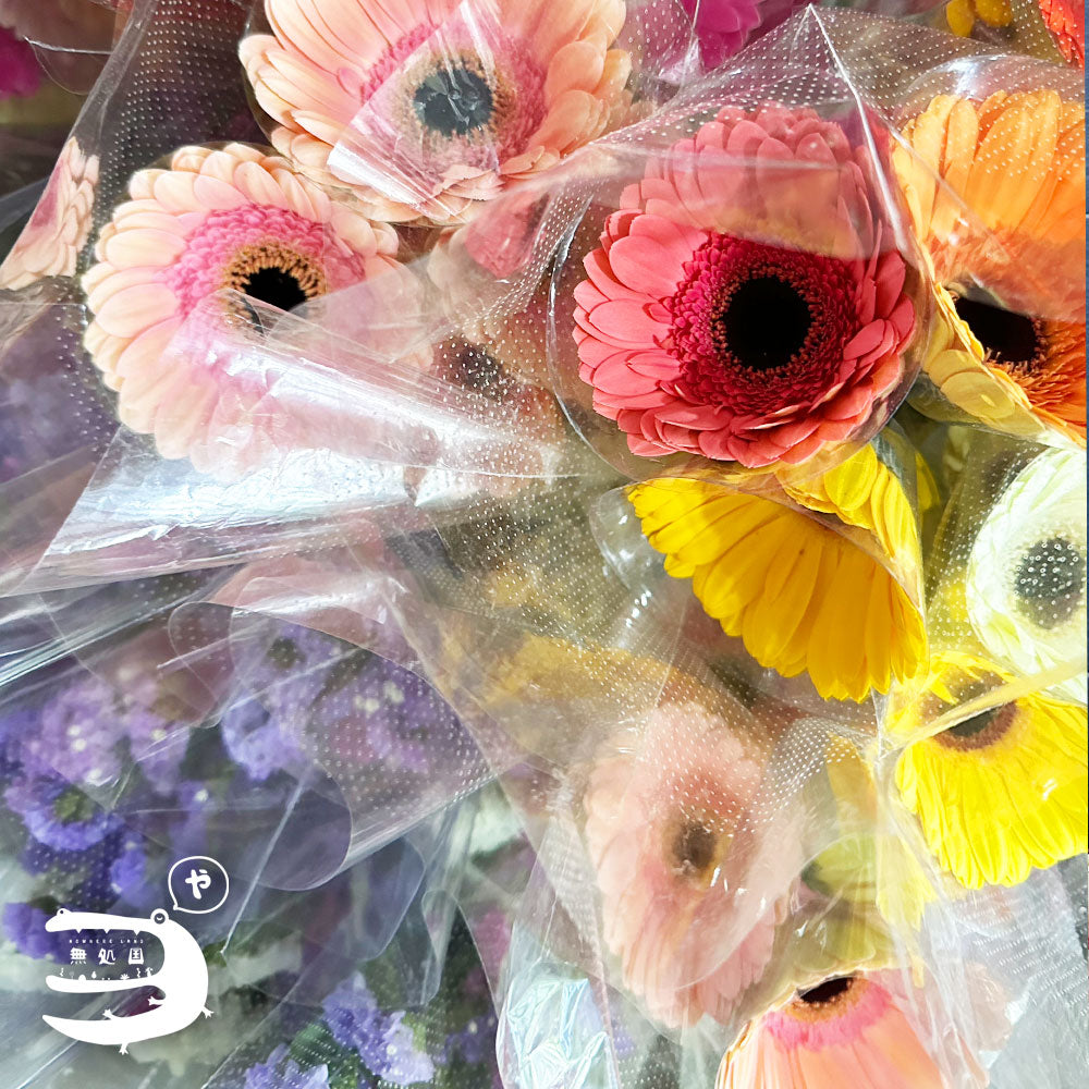 Assorted Gerberas[Top-Grade] : 10stems