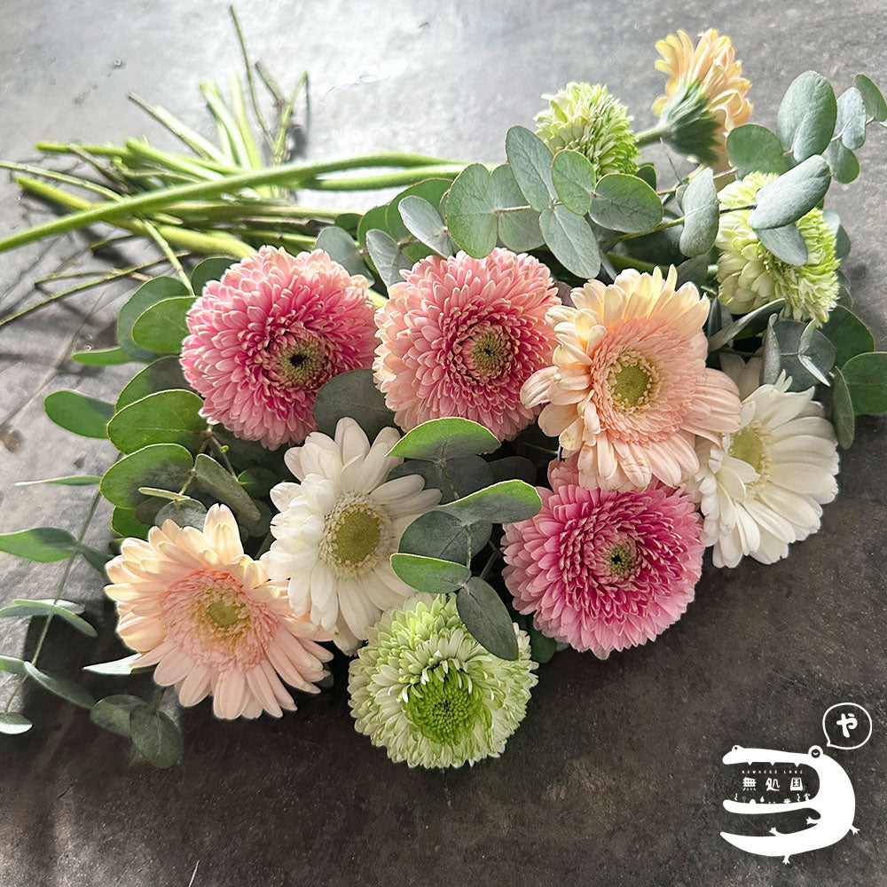 Baby Gerberas: 10 stems– Rare Gerbera Malaysia | Farm Fresh Flowers