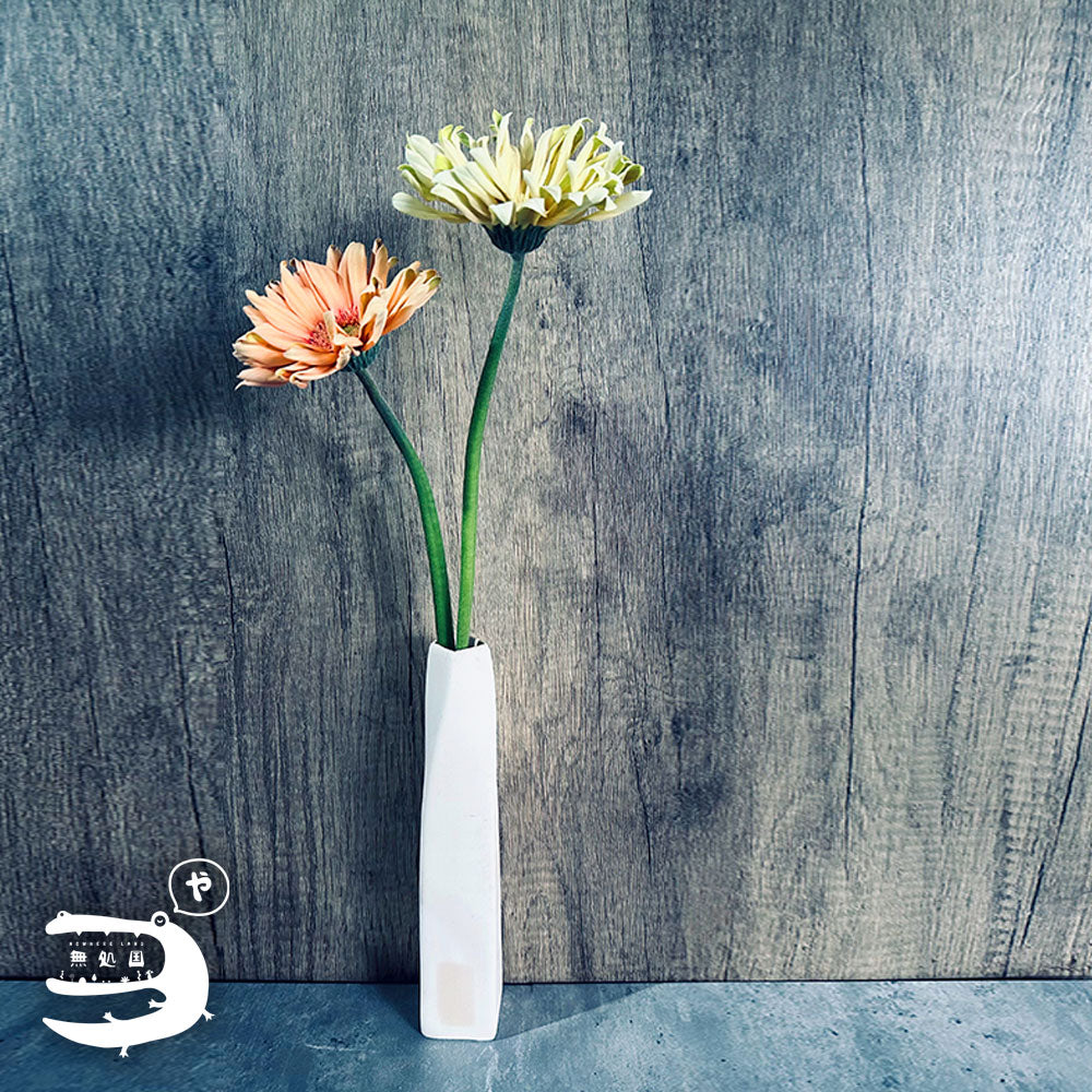 Gerbera Carbonara [Top-Grade] : 10 stems