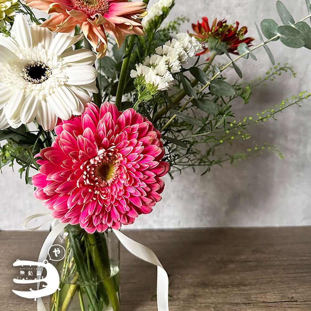 Gerbera Powerball(Celebrity) [Top-Grade] : 10 stems