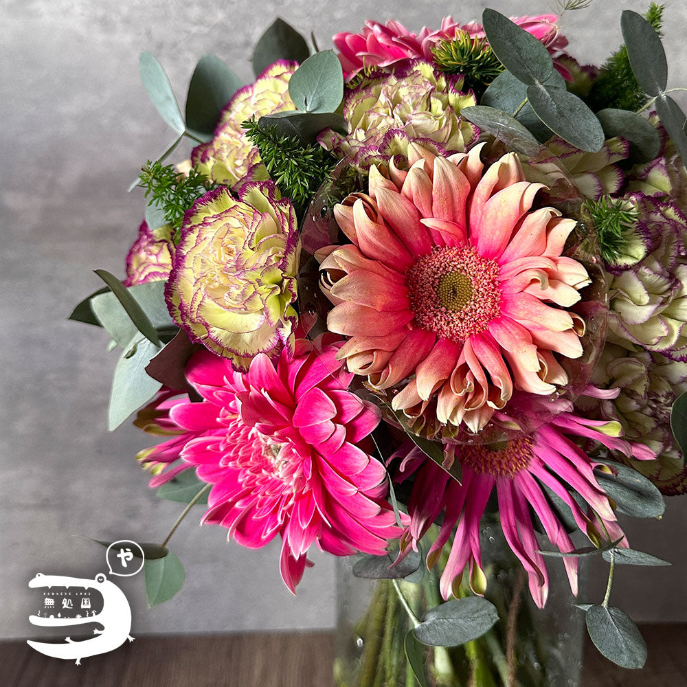 Gerbera Powerball(Celebrity) [Top-Grade] : 10 stems