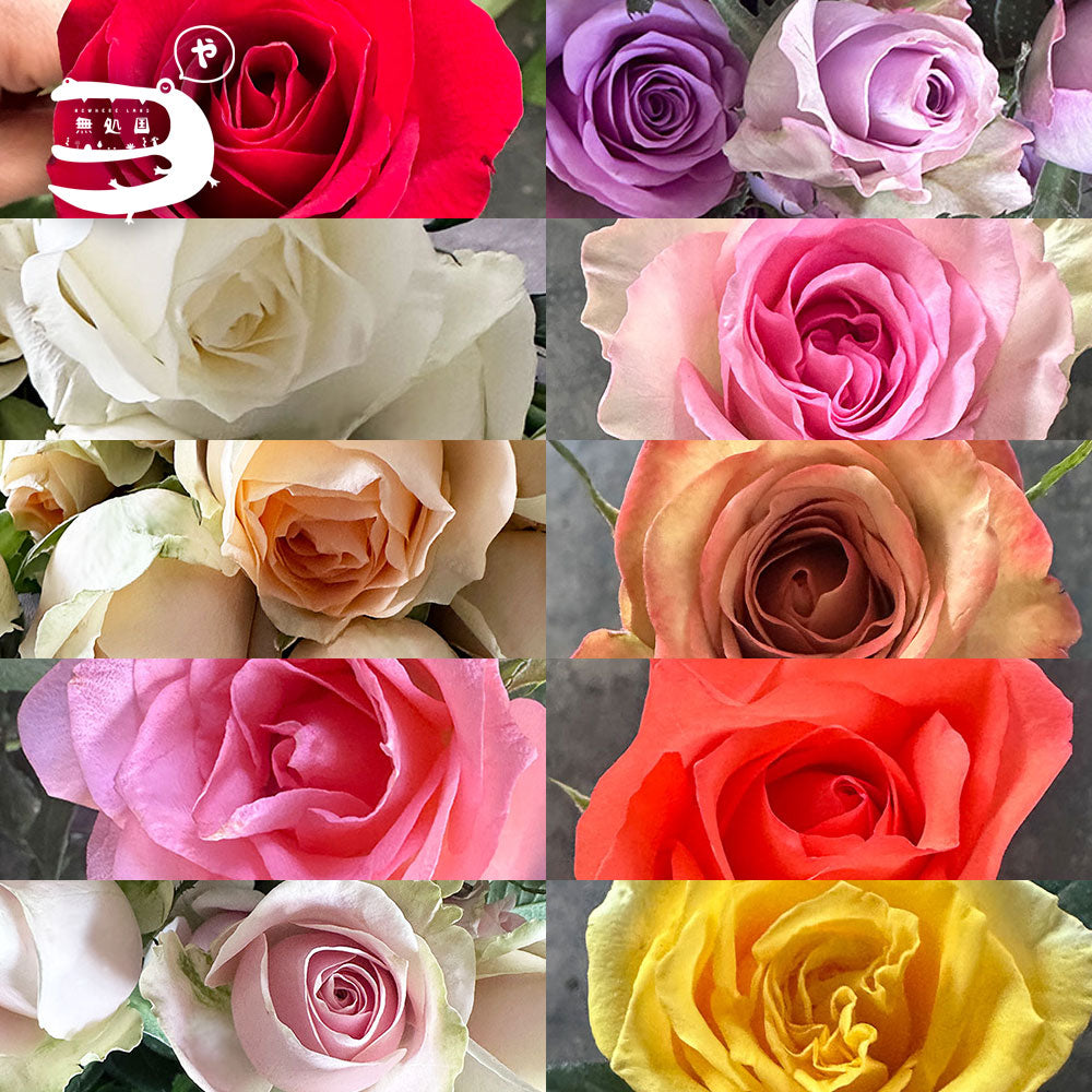 [DIY] Fresh Rose Bouquet Set– Fresh Cut Flowers Malaysia for DIY & Gifts