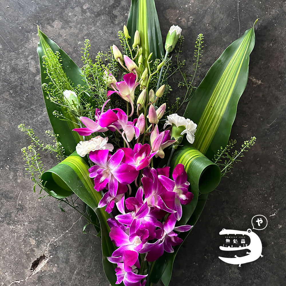 Dendrobium : 10 stems