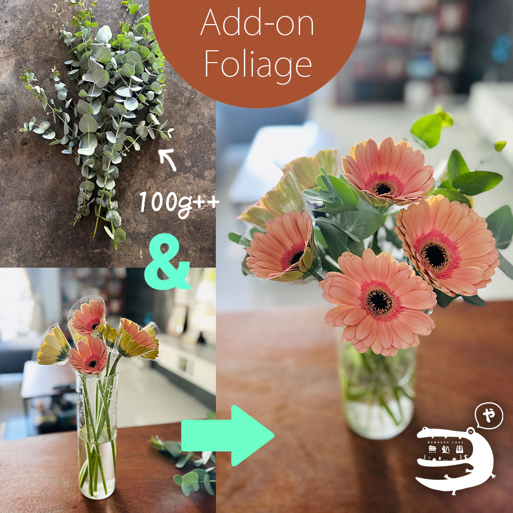 Yellow & Orange Gerbera Daisy [Top-Grade] : 10stems