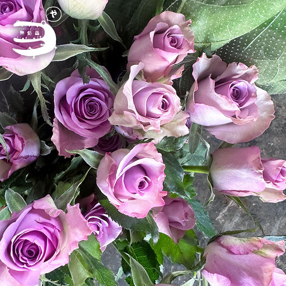 Fresh Rose : 10stems