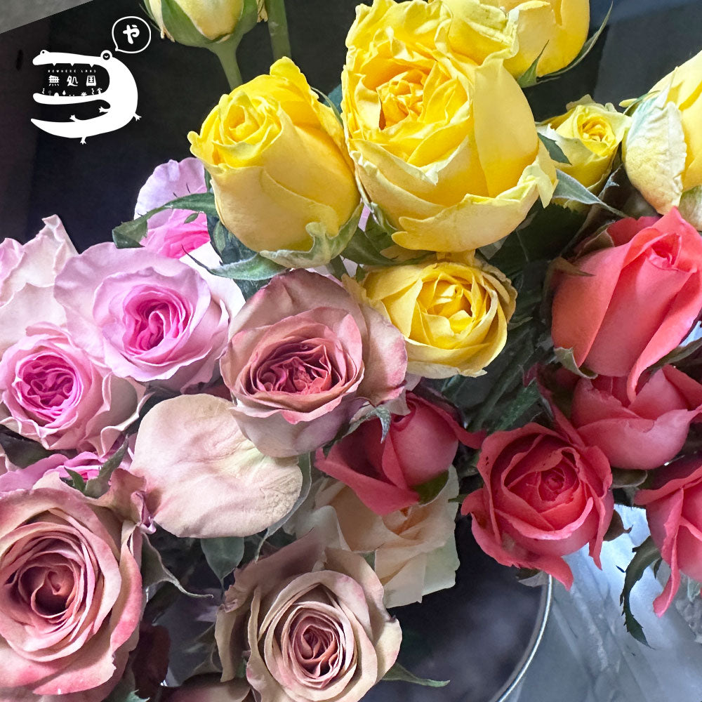 Rose : 10stems directly send from the farm in Cameron Highlands