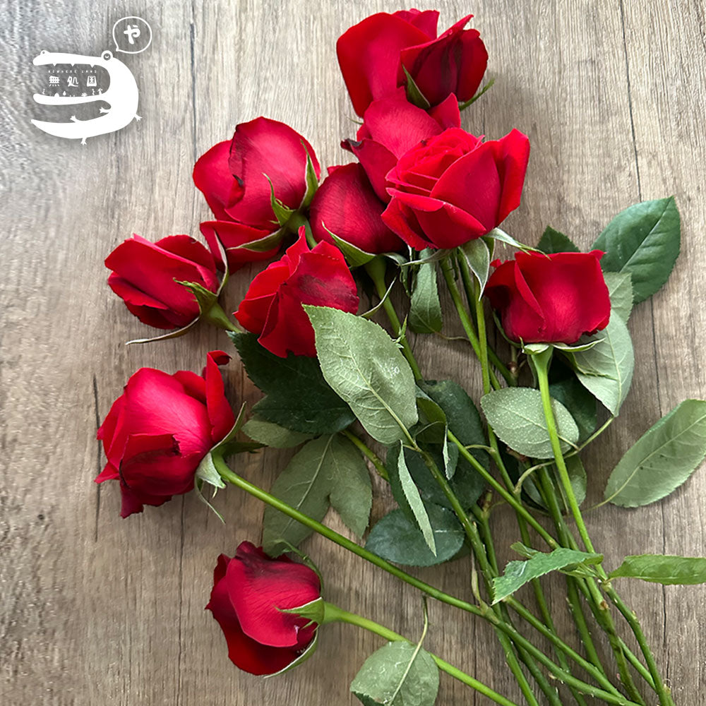 Fresh Rose : 10stems