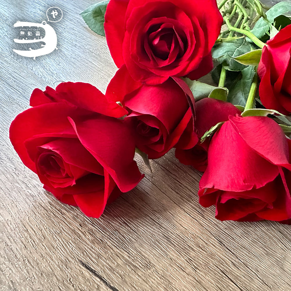 Fresh Rose : 10stems