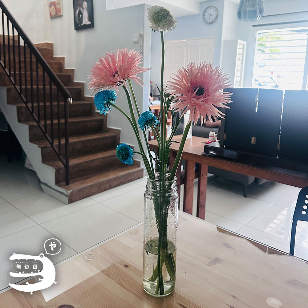 Scabiosa (Pincushion) : 3 stems/5 stems - Unique Fresh Flowers from Cameron Highlands | Nowhereland