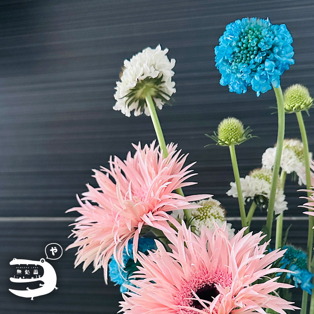 Scabiosa (Pincushion) : 3 stems/5 stems - Unique Fresh Flowers from Cameron Highlands | Nowhereland