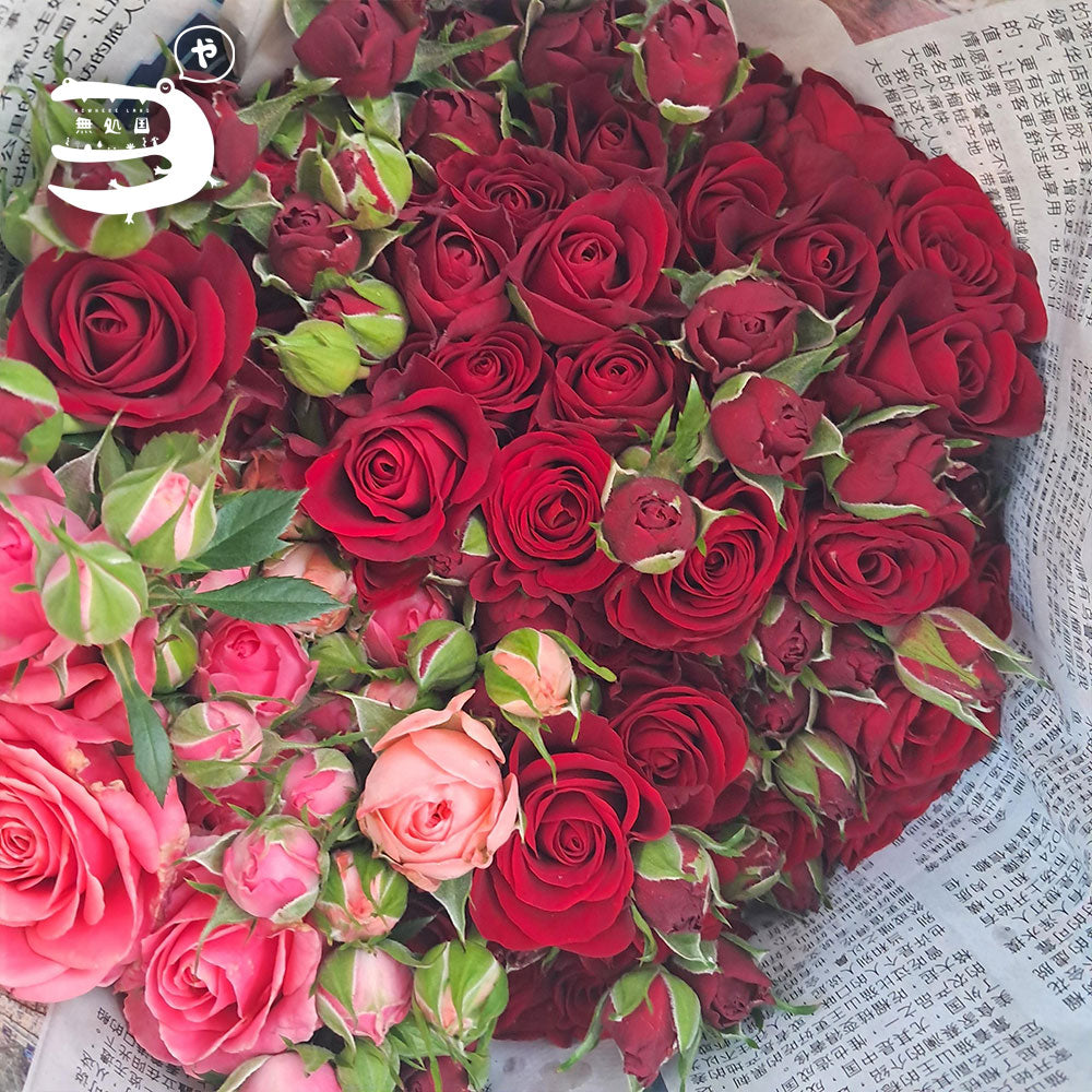 Spray Rose[3stems]: Directly send from the farm in Cameron Highlands [Fresh Flower][3stems]