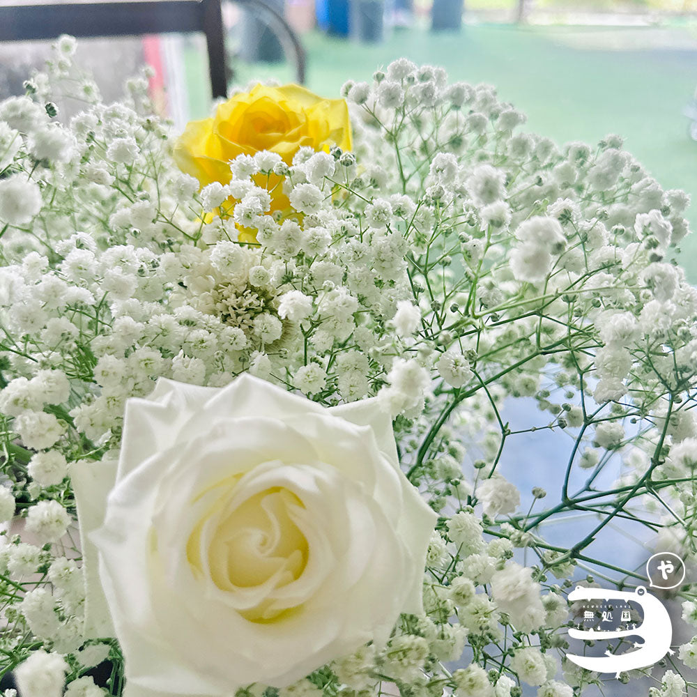 Baby's breath : 300g++ Fresh flower directly sent from the farm in Cameron Highalnds/Nowhereland