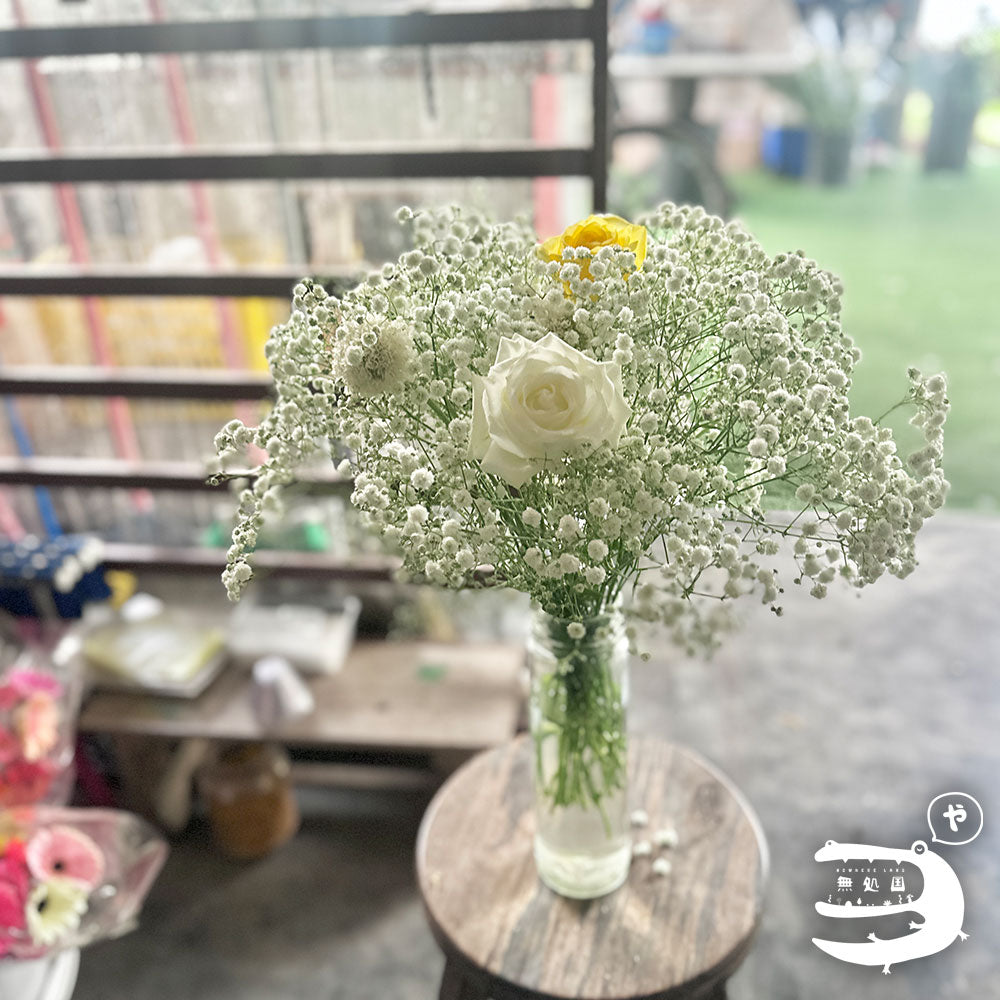 Baby's breath : 300g++ Fresh flower directly sent from the farm in Cameron Highalnds/Nowhereland