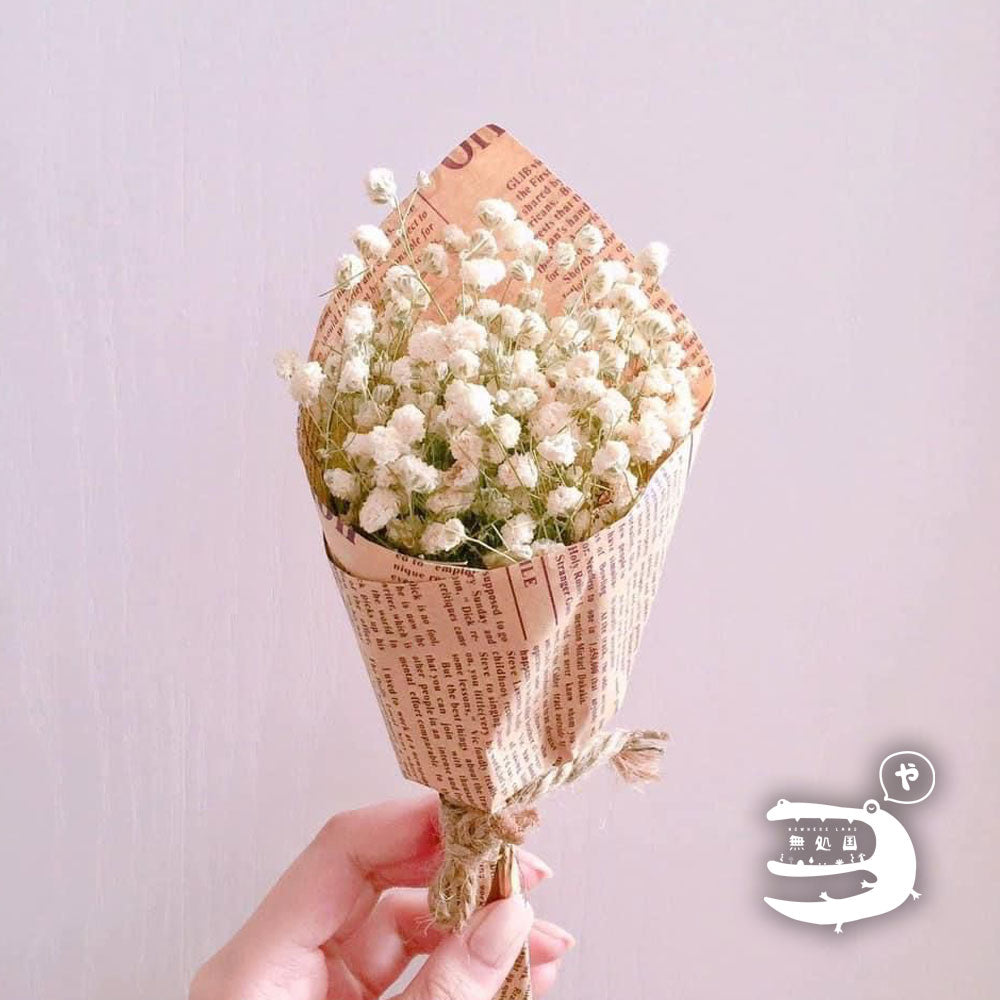 Baby breath : 300-350gram/bundle