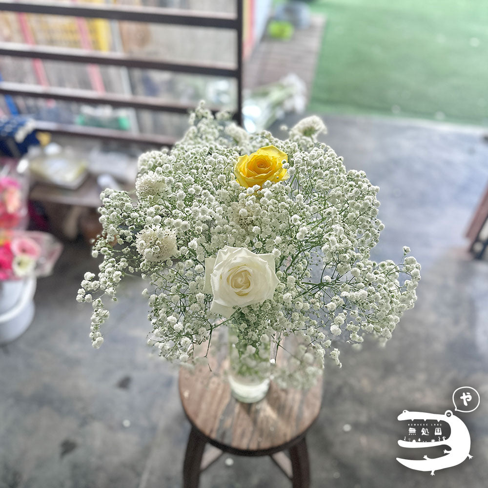 Baby's breath : 300g++ Fresh flower directly sent from the farm in Cameron Highalnds/Nowhereland